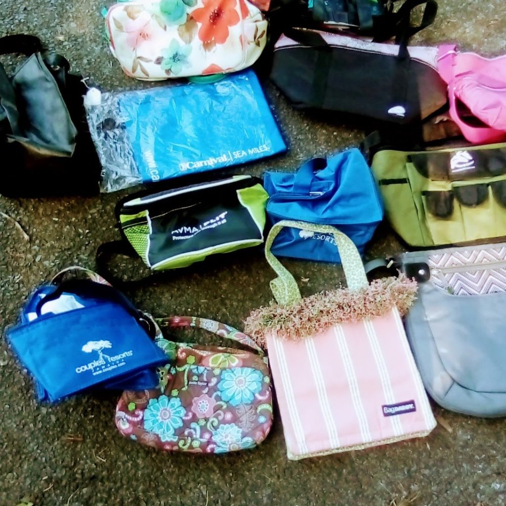 Insulated Lunch Bags, an easy way to save money and Help Save our Planet!